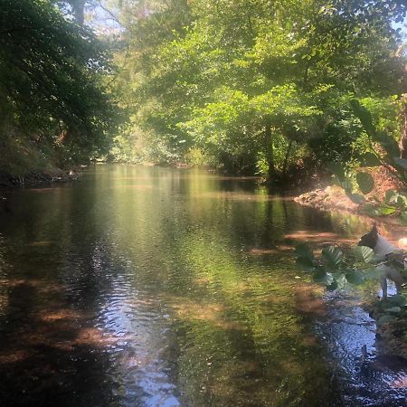 Moulin A Huile Chambre D'Hotes Vins-sur-Caramy Zewnętrze zdjęcie